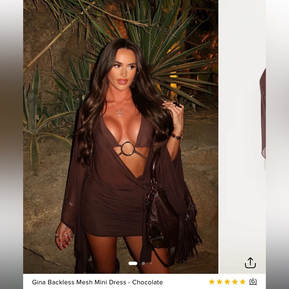 FashionNova Gina Backless Mesh Mini Dress - Chocolate
